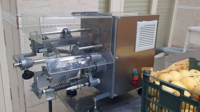 ata-machin-ir-g-Fruit-Slicer-5